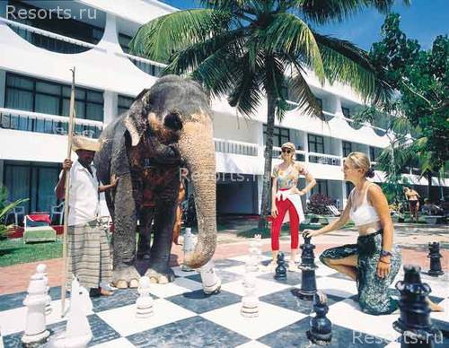 Club Palm Garden 6